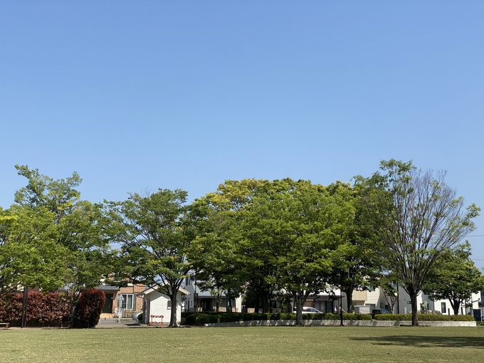 IMG_8667のコピー.jpg