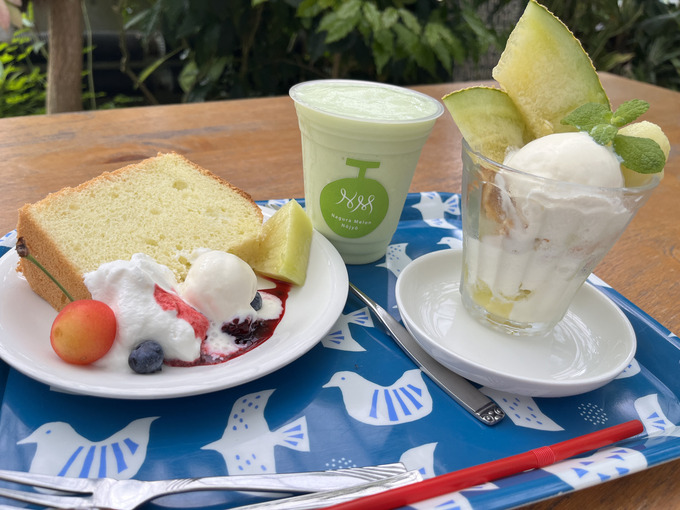 【袋井市】メロン好きは絶対行って♪ベビーベッド完備で至れり尽くせり…ママ感涙メロン農園カフェ