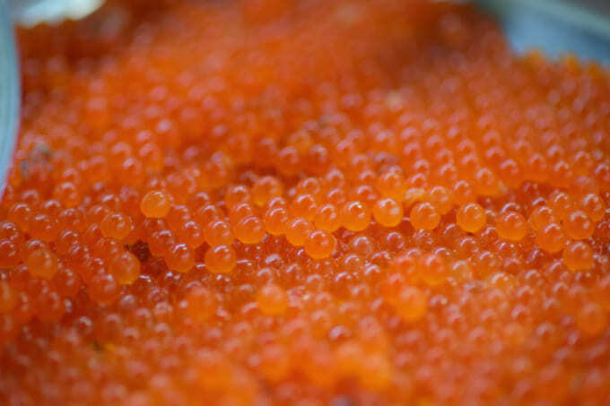 はらこめし (2).jpg