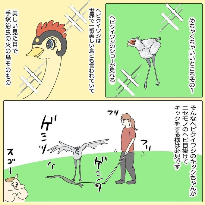 ダウンロード (23).jfif