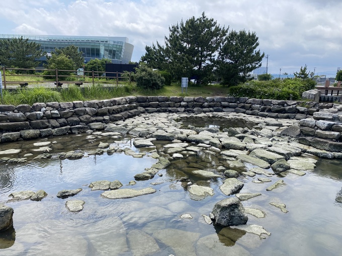 え、海遊びもできる公園?【焼津市】「毎日のように来ている猛者も」親水広場「ふぃしゅーな」の潮だまりに大興奮!