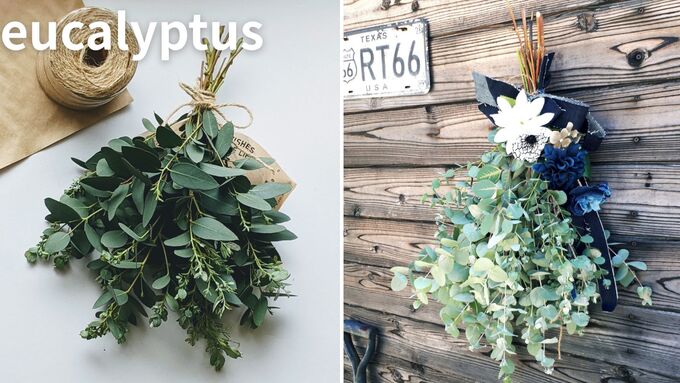 スワッグの花材として人気のユーカリ
