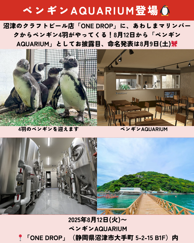 0802静岡ニュース (11).png