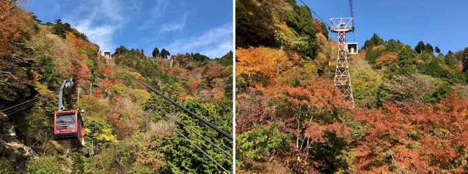 「紅葉をお得に楽しめる♪」静岡県在住の方必見！割引キャンペーンの開催決定！
