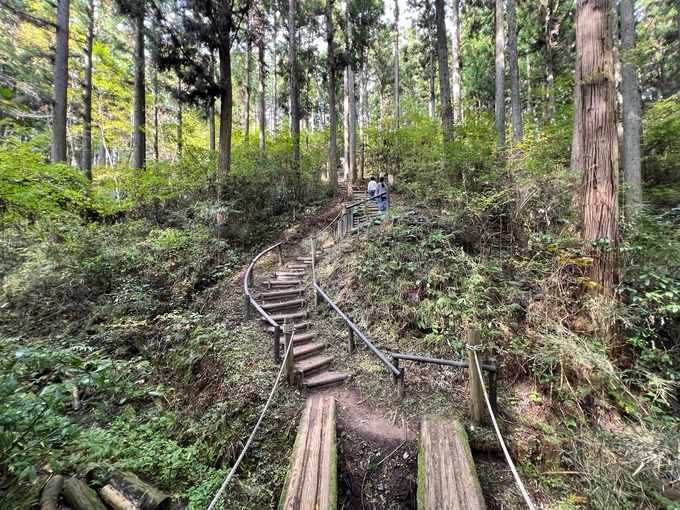 大亀山 アスレチック内歩道２.jpg