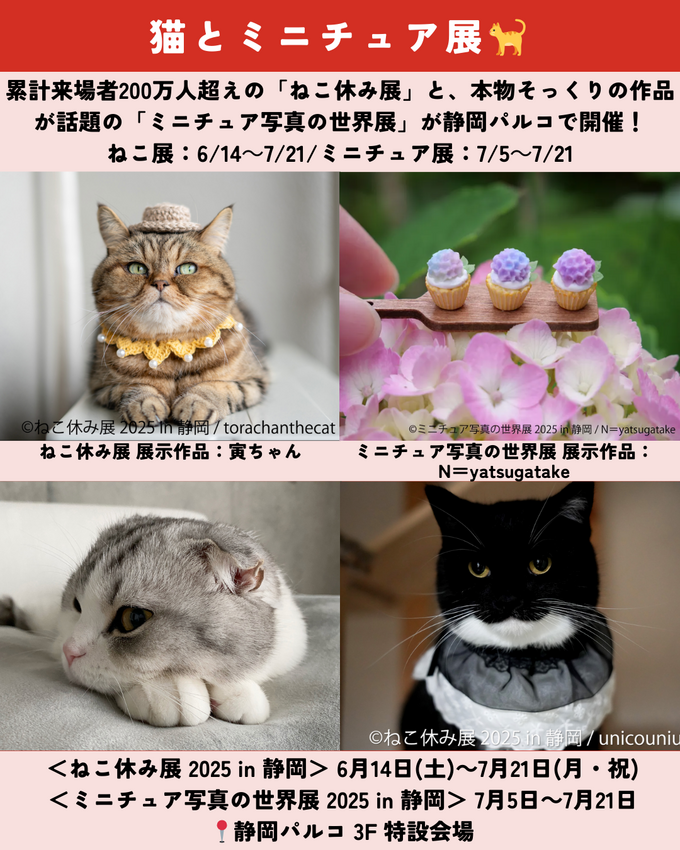 0523静岡ニュース (5).png