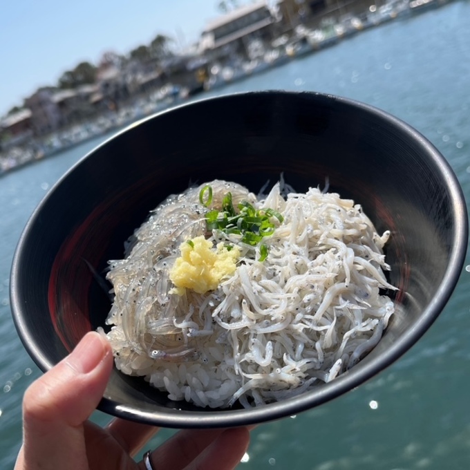 行列必至！超人気観光地【静岡・田子の浦漁港直送】絶品生しらす丼はいつ食べられる？ご当地グルメ＆周辺情報まで一挙公開