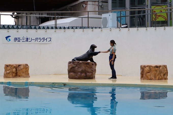 mitosea021.JPG