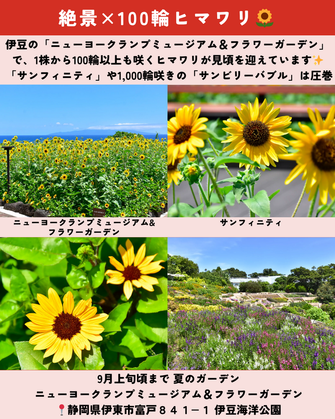 0726静岡ニュース (8).png