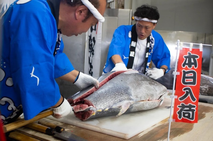 maguro.jpg