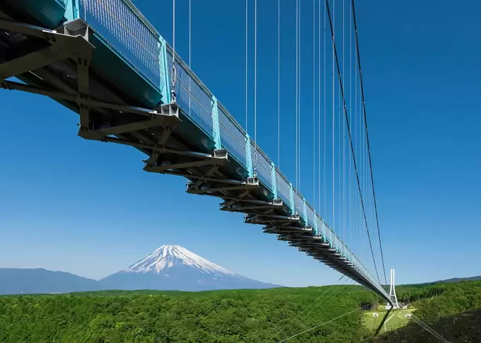 250123_imo3.webp