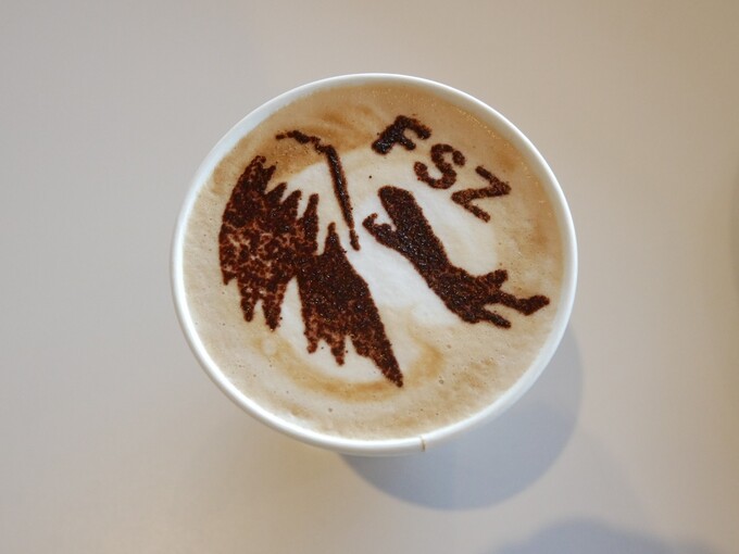 P1090500 - frame at 0m0s.jpg