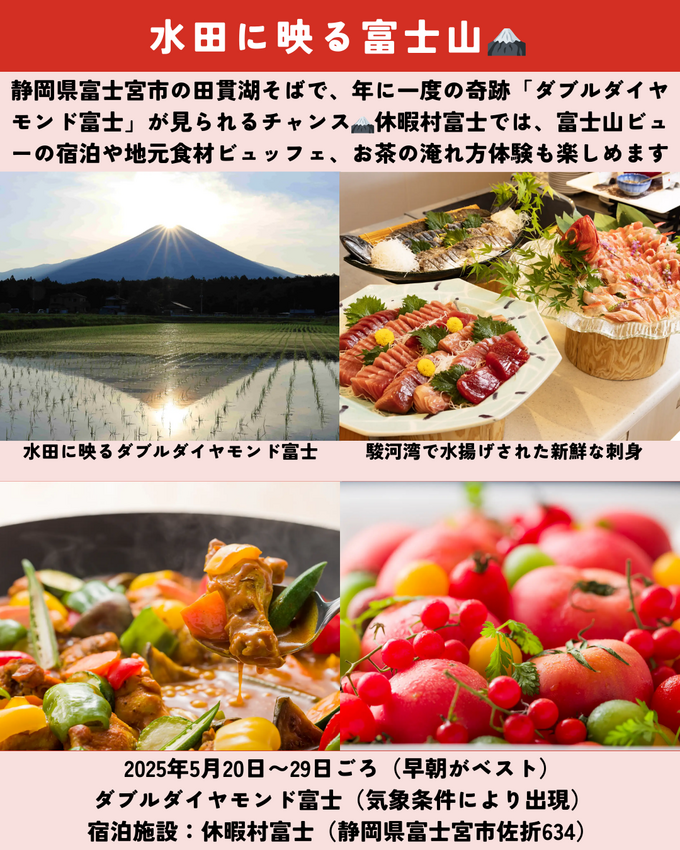 0523静岡ニュース (9).png