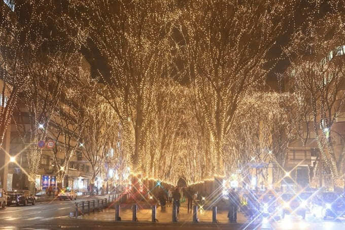 光のページェント (1).jpg