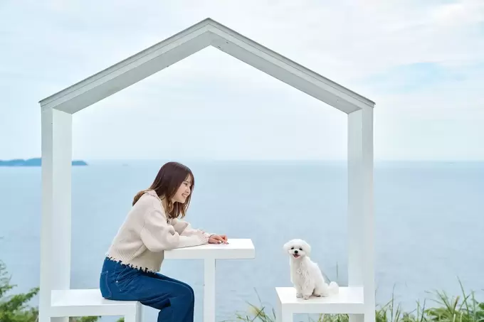 愛犬と熱海デート決定♡【ACAO FOREST】に絶景ドッグラン誕生！イベント限定わんわんピザ＆ティラミス、無料撮影会も「花と海とウチの子、かわいすぎ♪」