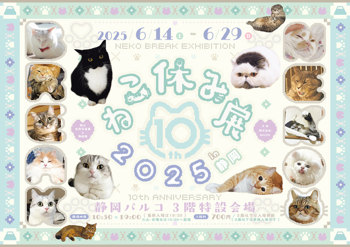 可愛すぎる～♪癒やししかない【ねこ休み展】10周年！＼累計来場者数200万人突破／限定グッズ＆新作満載 in 静岡パルコ