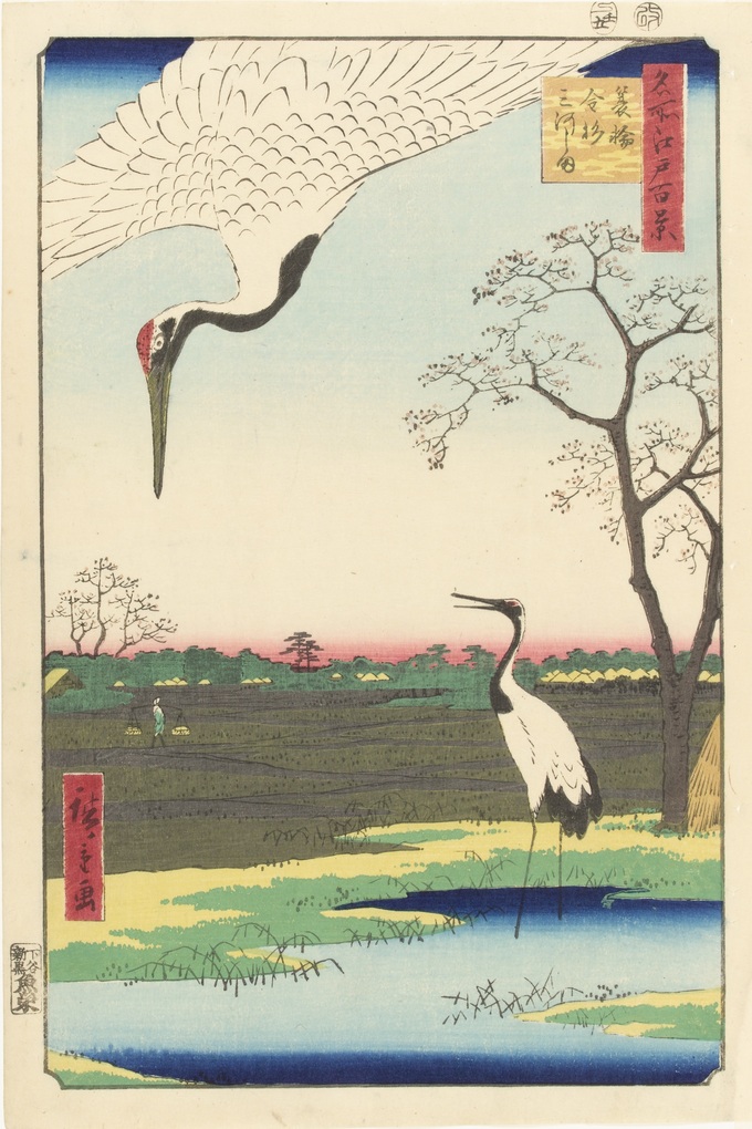 3_Crane.jpg