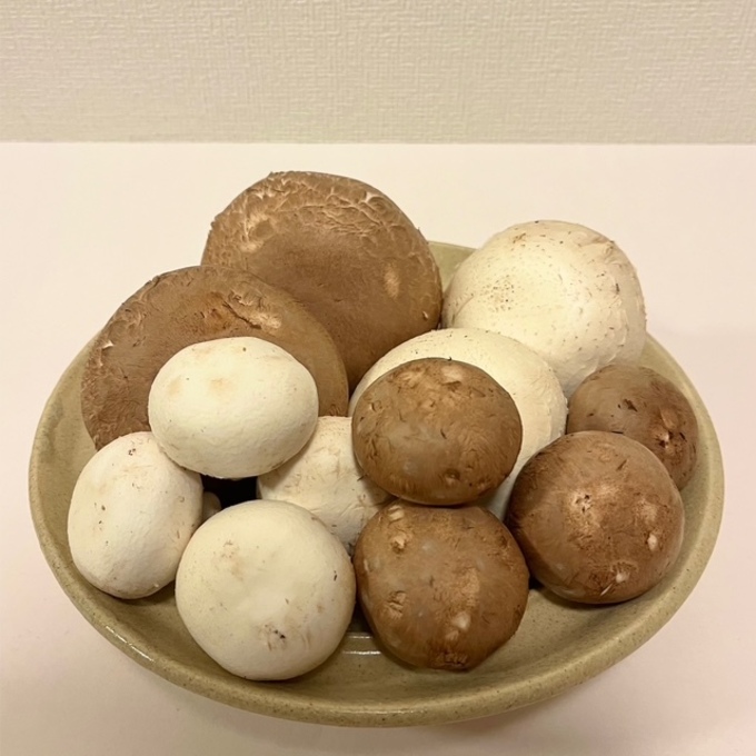 え、“極上食材”がまさかの県内産！？ミシュラン三ツ星シェフ御用達【長谷川農産】「食通もうなる」必食マッシュルーム