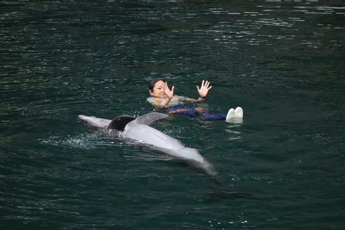 mitosea08.JPG