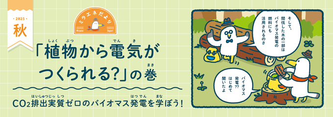 ＜ミラエネだより2025年秋＞植物から電気がつくられる？の巻
