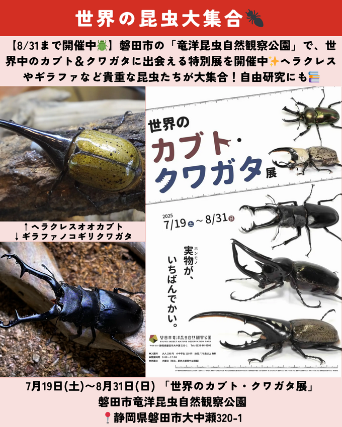 0809静岡ニュース (7).png