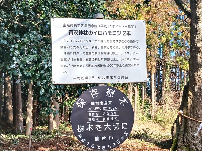 ★20240307_135433.jpg