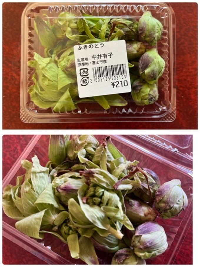 楽座５.jpeg