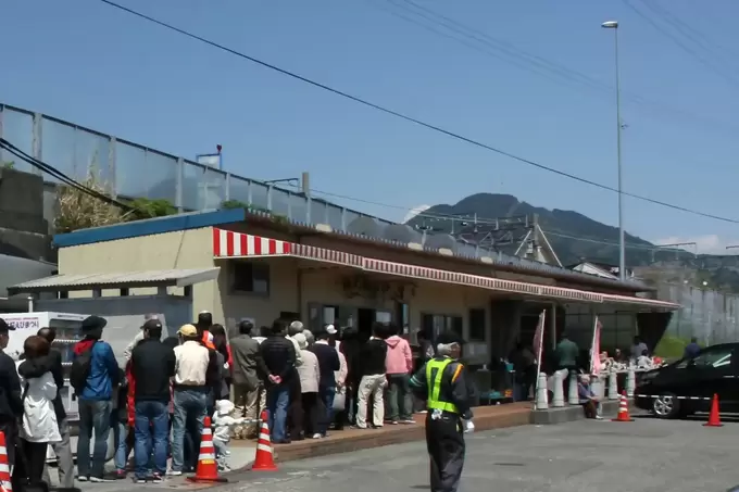 250411_sakuraebi2.webp