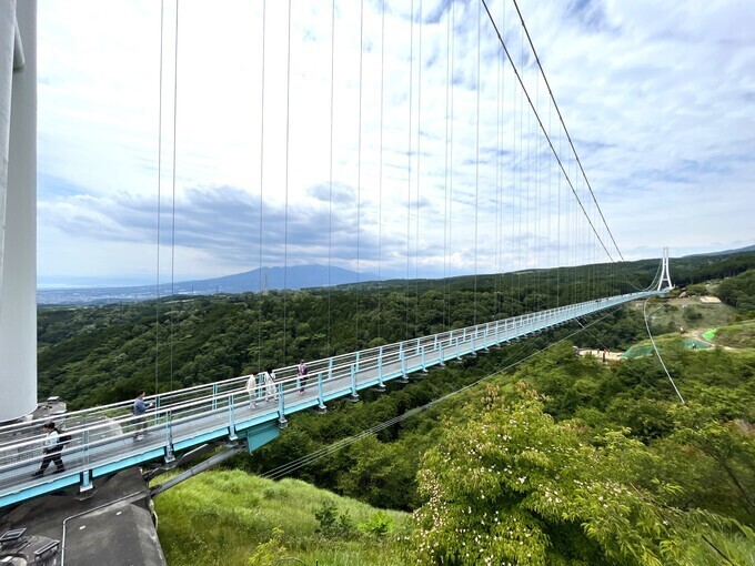 三島スカイウォーク.jpg
