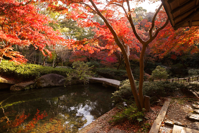 日本庭園_秋.jpg