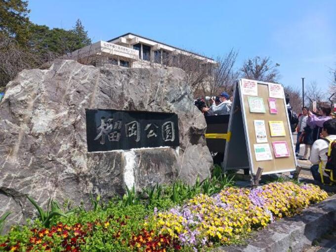 意外と知らない【榴岡公園お花見速報!】仙台2児の母発「まだ行けてない」「子どもが飽きる」「屋台好き」必見