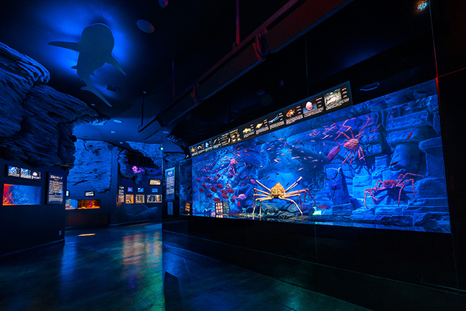 水族館大水槽.jpg
