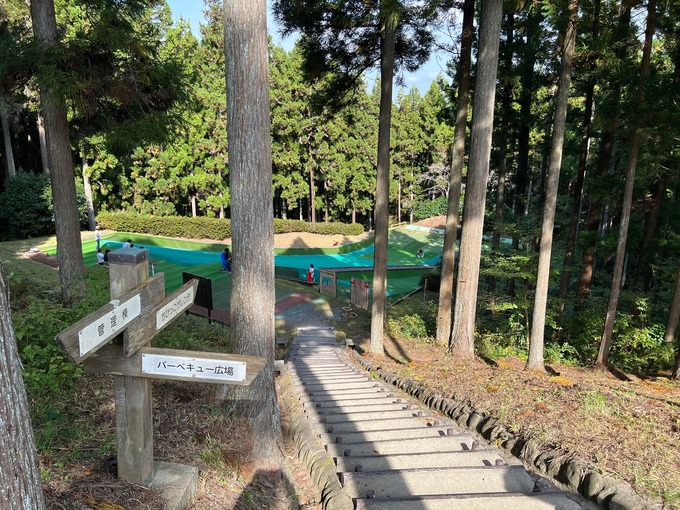 大亀山 入口からアスレチックへの階段.jpg