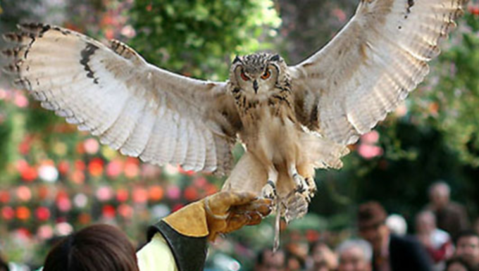 スクリーンショット 2023-12-12 14.18.11.png