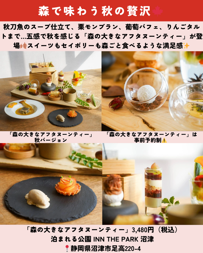 1025_静岡ニュース (5).png