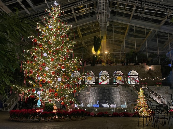 20231123 イルミ (2).jpeg