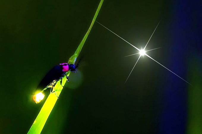 24201097_l.jpg