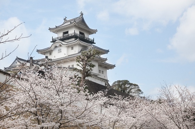 掛川城.jpg