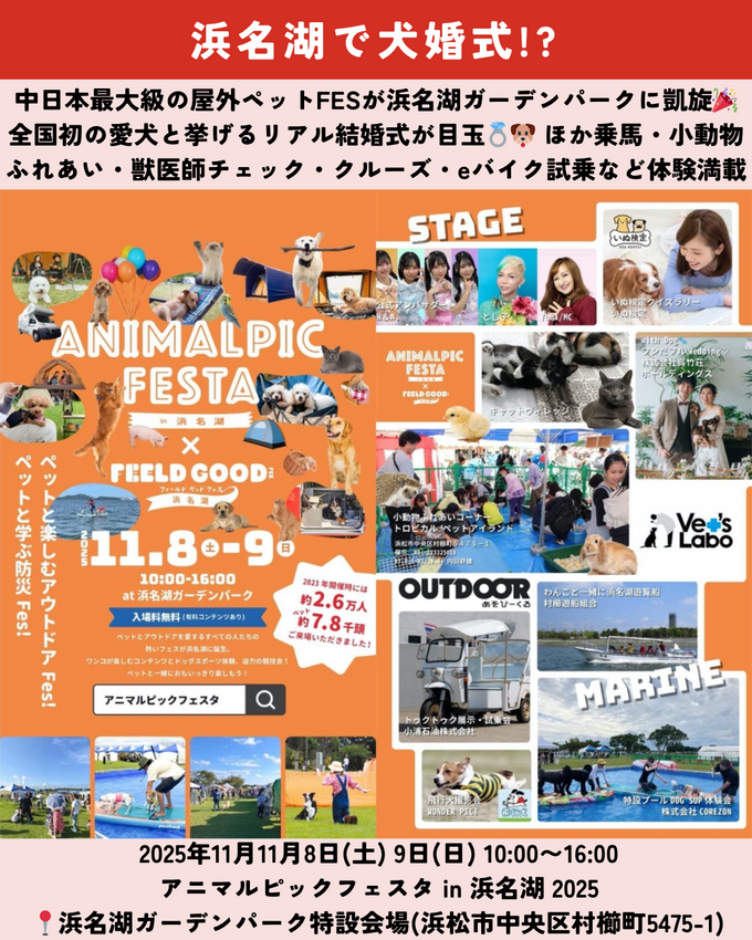 1101_静岡ニュース (13).png