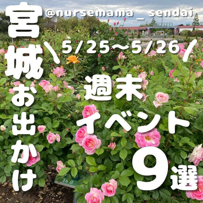 わー困った！今週末はグルメ天国「入場無料！人気ラーメン店降臨」「お手頃価格のビール祭典」【仙台イベント9選】