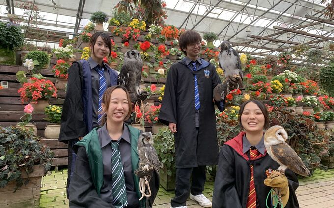 【富士宮市】ハロウィン限定企画がアツい！「フクロウやタカと写真が撮れる♪」仮装して遊びに行こう！