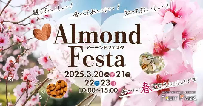 まるで"桜"!?満開の"アーモンド"の花が見られるのは【静岡】ではここ...だけ?【アーモンドフェスタ2025】ひと足早いお花見へ♪