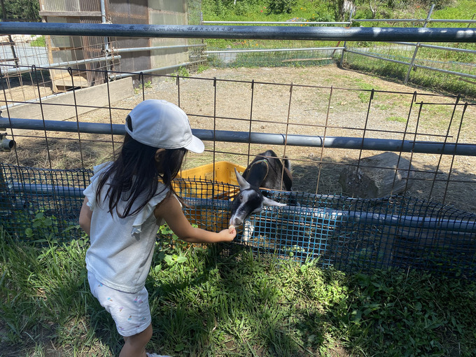年末で閉園です（泣）動物の餌やり体験に搾りたてソフトクリームまで！遊びつくせる体験施設【浜松市】 大橋牧場