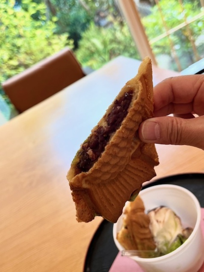 たごの.jpeg