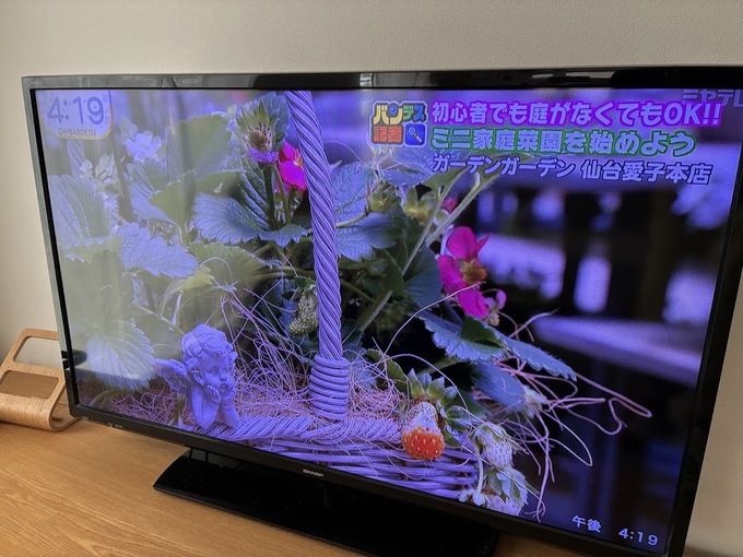 GGOHバンデス.jpg
