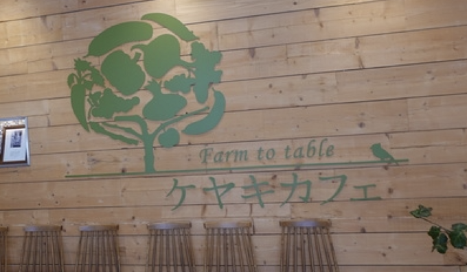 街なかの子連れランチにぴったり!【ケヤキカフェ】「ボリュームたっぷり"逆写真詐欺"」「ベビーカーも余裕」
