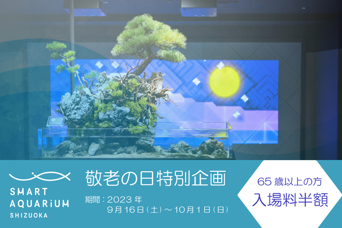 【65歳以上は入場料半額!】敬老の日のお出かけに「今だけ水族館がお得♪」期間限定キャンペーン【静岡市】