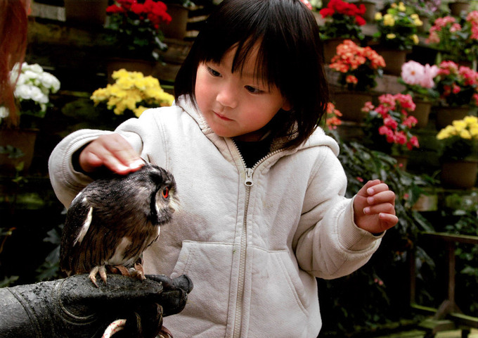 今年も人気の恒例行事が開催！【富士宮市】「応募は12月31日までです」富士花鳥園のフォトコンテスト