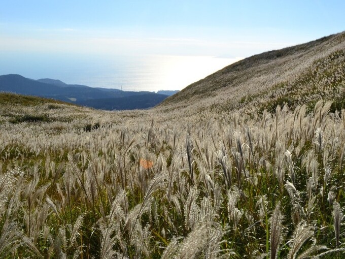 え、ここ日本なの！？ 幻想的すぎる【静岡観光スポット】圧巻！今しか見れない「100選の絶景」行かなきゃ損！