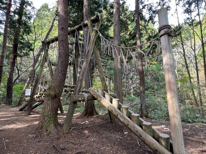 大亀山 アスレチック５.jpg